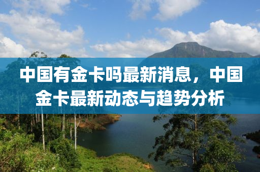 中国有金卡吗最新消息，中国金卡最新动态与趋势分析