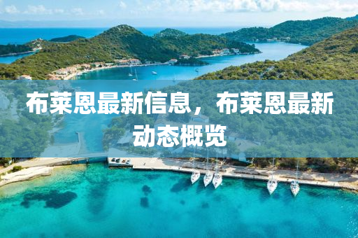 布莱恩最新信息，布莱恩最新动态概览