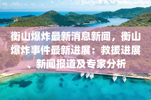 衡山爆炸最新消息新闻，衡山爆炸事件最新进展：救援进展、新闻报道及专家分析