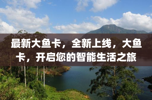 最新大鱼卡，全新上线，大鱼卡，开启您的智能生活之旅