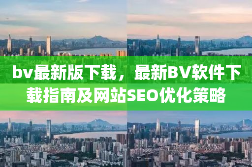 bv最新版下载，最新BV软件下载指南及网站SEO优化策略