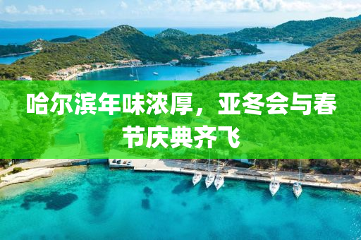 哈尔滨年味浓厚，亚冬会与春节庆典齐飞