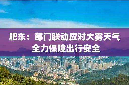 肥东：部门联动应对大雾天气 全力保障出行安全