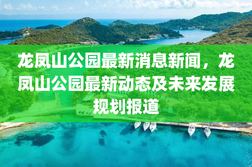 龙凤山公园最新消息新闻，龙凤山公园最新动态及未来发展规划报道