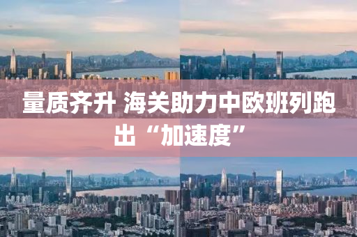量质齐升 海关助力中欧班列跑出“加速度”