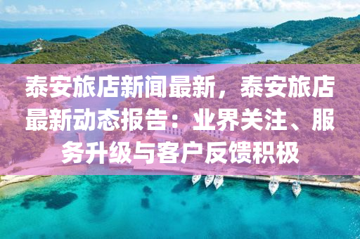 泰安旅店新闻最新，泰安旅店最新动态报告：业界关注、服务升级与客户反馈积极