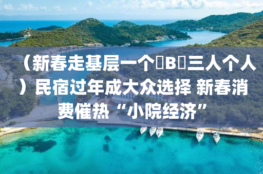 （新春走基层一个㖭B㖭三人个人）民宿过年成大众选择 新春消费催热“小院经济”