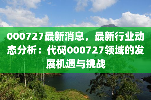 000727最新消息，最新行业动态分析：代码000727领域的发展机遇与挑战