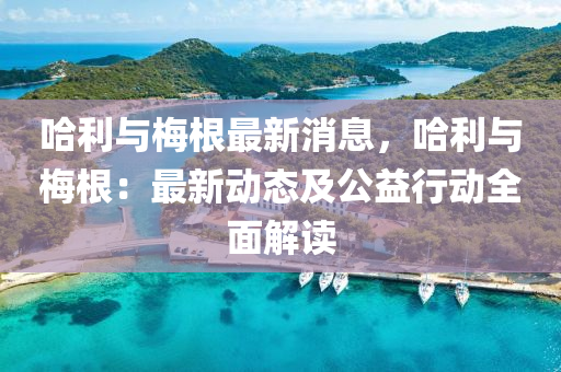 哈利与梅根最新消息，哈利与梅根：最新动态及公益行动全面解读