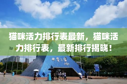 猫咪活力排行表最新，猫咪活力排行表，最新排行揭晓！