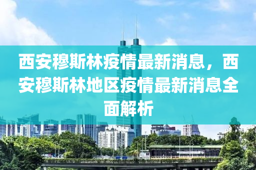 西安穆斯林疫情最新消息，西安穆斯林地区疫情最新消息全面解析