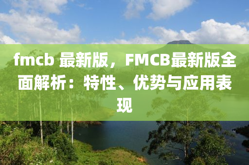fmcb 最新版，FMCB最新版全面解析：特性、优势与应用表现