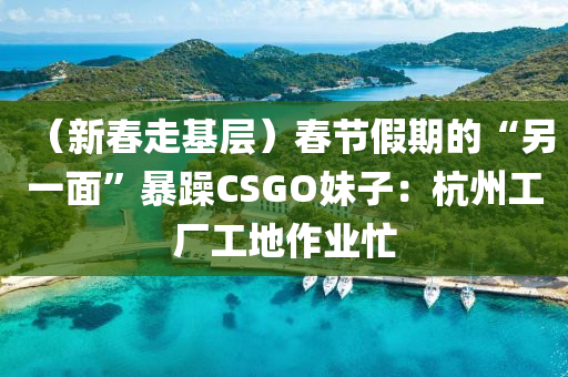 （新春走基层）春节假期的“另一面”暴躁CSGO妹子：杭州工厂工地作业忙