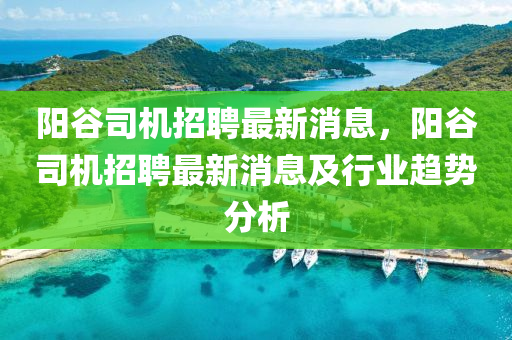 阳谷司机招聘最新消息，阳谷司机招聘最新消息及行业趋势分析