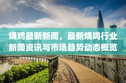 烧鸡最新新闻，最新烧鸡行业新闻资讯与市场趋势动态概览