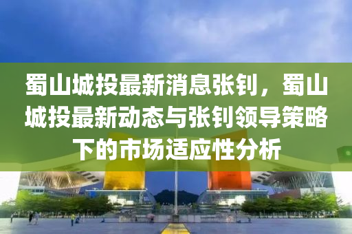 蜀山城投最新消息张钊，蜀山城投最新动态与张钊领导策略下的市场适应性分析