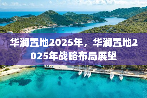 华润置地2025年，华润置地2025年战略布局展望