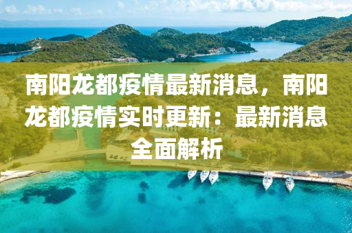 南阳龙都疫情最新消息，南阳龙都疫情实时更新：最新消息全面解析