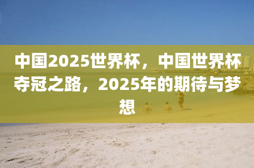 中国2025世界杯，中国世界杯夺冠之路，2025年的期待与梦想