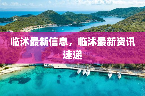 临沭最新信息，临沭最新资讯速递