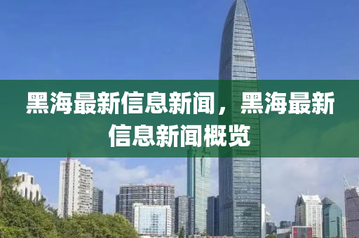 黑海最新信息新闻，黑海最新信息新闻概览