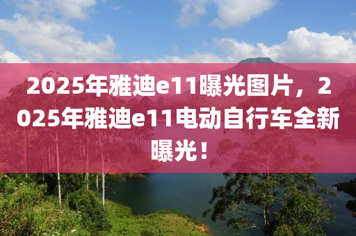 2025年雅迪e11曝光图片，2025年雅迪e11电动自行车全新曝光！
