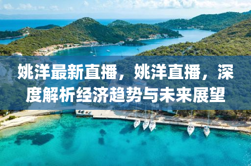 姚洋最新直播，姚洋直播，深度解析经济趋势与未来展望