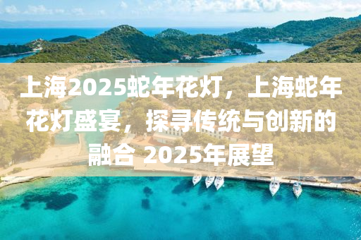 上海2025蛇年花灯，上海蛇年花灯盛宴，探寻传统与创新的融合 2025年展望