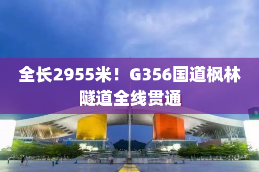 全长2955米！G356国道枫林隧道全线贯通
