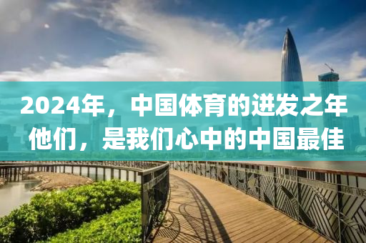 2024年，中国体育的迸发之年 他们，是我们心中的中国最佳