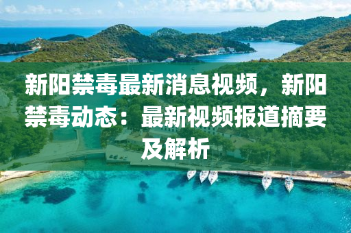 新阳禁毒最新消息视频，新阳禁毒动态：最新视频报道摘要及解析