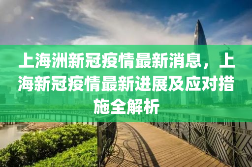 上海洲新冠疫情最新消息，上海新冠疫情最新进展及应对措施全解析