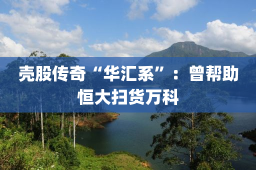 壳股传奇“华汇系”：曾帮助恒大扫货万科