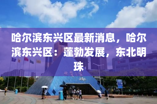 哈尔滨东兴区最新消息，哈尔滨东兴区：蓬勃发展，东北明珠