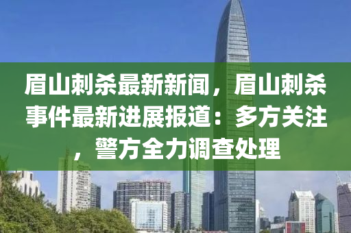 眉山刺杀最新新闻，眉山刺杀事件最新进展报道：多方关注，警方全力调查处理