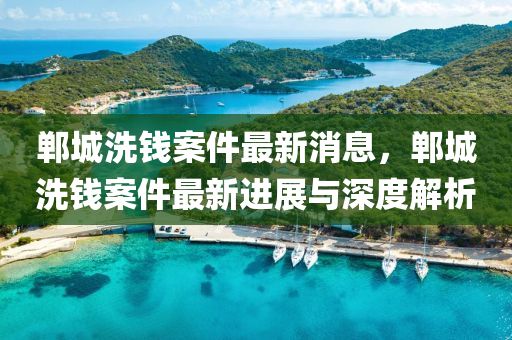 郸城洗钱案件最新消息，郸城洗钱案件最新进展与深度解析