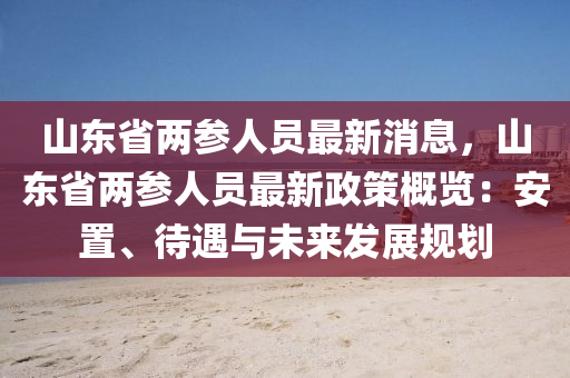 山东省两参人员最新消息，山东省两参人员最新政策概览：安置、待遇与未来发展规划