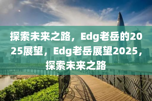 探索未来之路，Edg老岳的2025展望，Edg老岳展望2025，探索未来之路