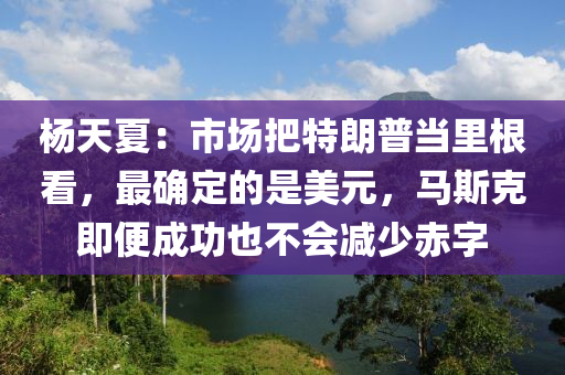 杨天夏：市场把特朗普当里根看，最确定的是美元，马斯克即便成功也不会减少赤字