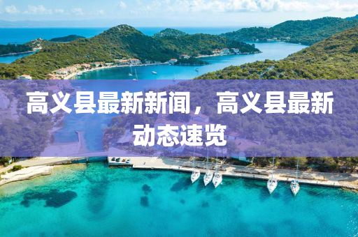 高义县最新新闻，高义县最新动态速览