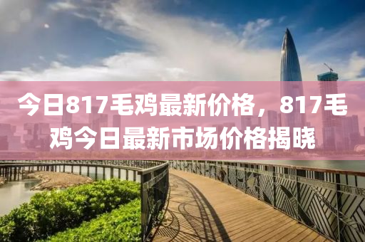 今日817毛鸡最新价格，817毛鸡今日最新市场价格揭晓