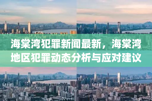 海棠湾犯罪新闻最新，海棠湾地区犯罪动态分析与应对建议