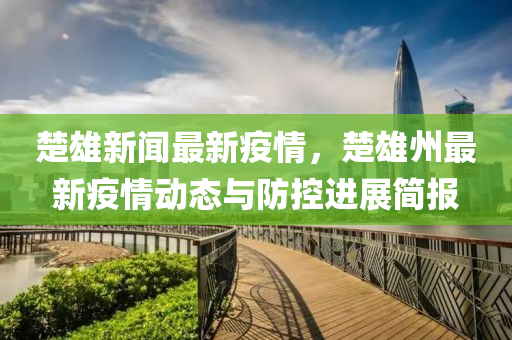 楚雄新闻最新疫情，楚雄州最新疫情动态与防控进展简报