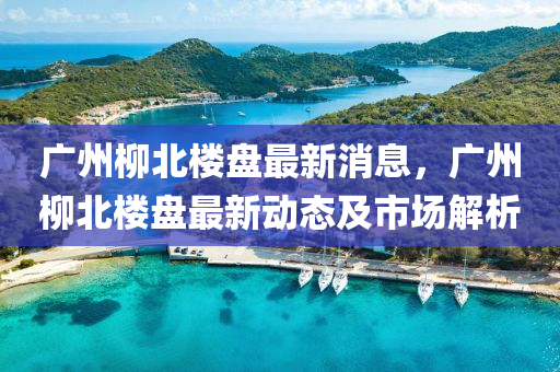 广州柳北楼盘最新消息，广州柳北楼盘最新动态及市场解析