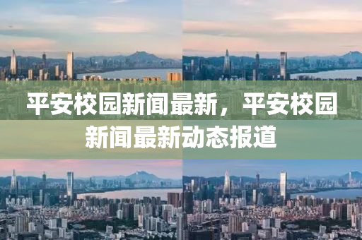 平安校园新闻最新，平安校园新闻最新动态报道
