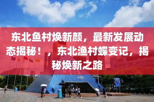 东北鱼村焕新颜，最新发展动态揭秘！，东北渔村蝶变记，揭秘焕新之路