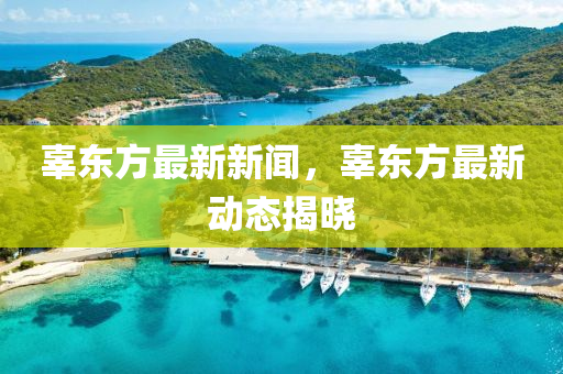 辜东方最新新闻，辜东方最新动态揭晓