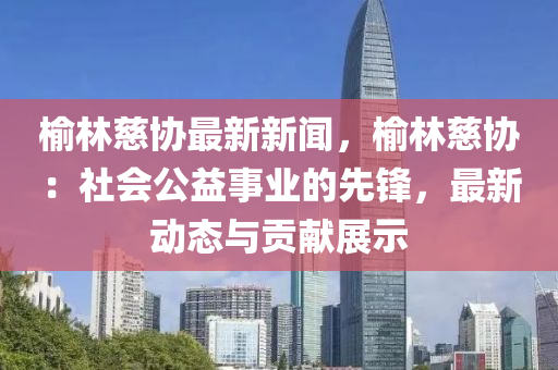 榆林慈协最新新闻，榆林慈协：社会公益事业的先锋，最新动态与贡献展示