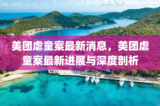 美团虐童案最新消息，美团虐童案最新进展与深度剖析