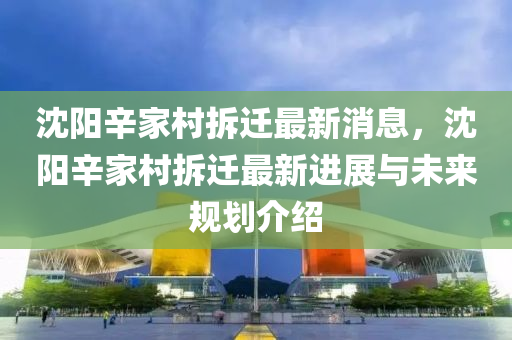 沈阳辛家村拆迁最新消息，沈阳辛家村拆迁最新进展与未来规划介绍